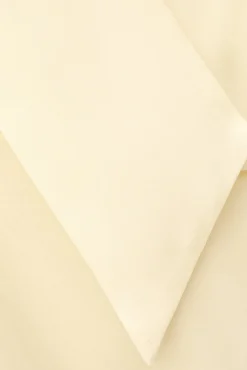 HERMINE plastron shirt